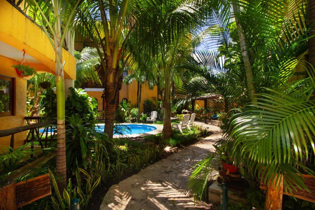 Hotel Bosque Caribe, 5Th Av. Zone Playa del Carmen Exteriér fotografie