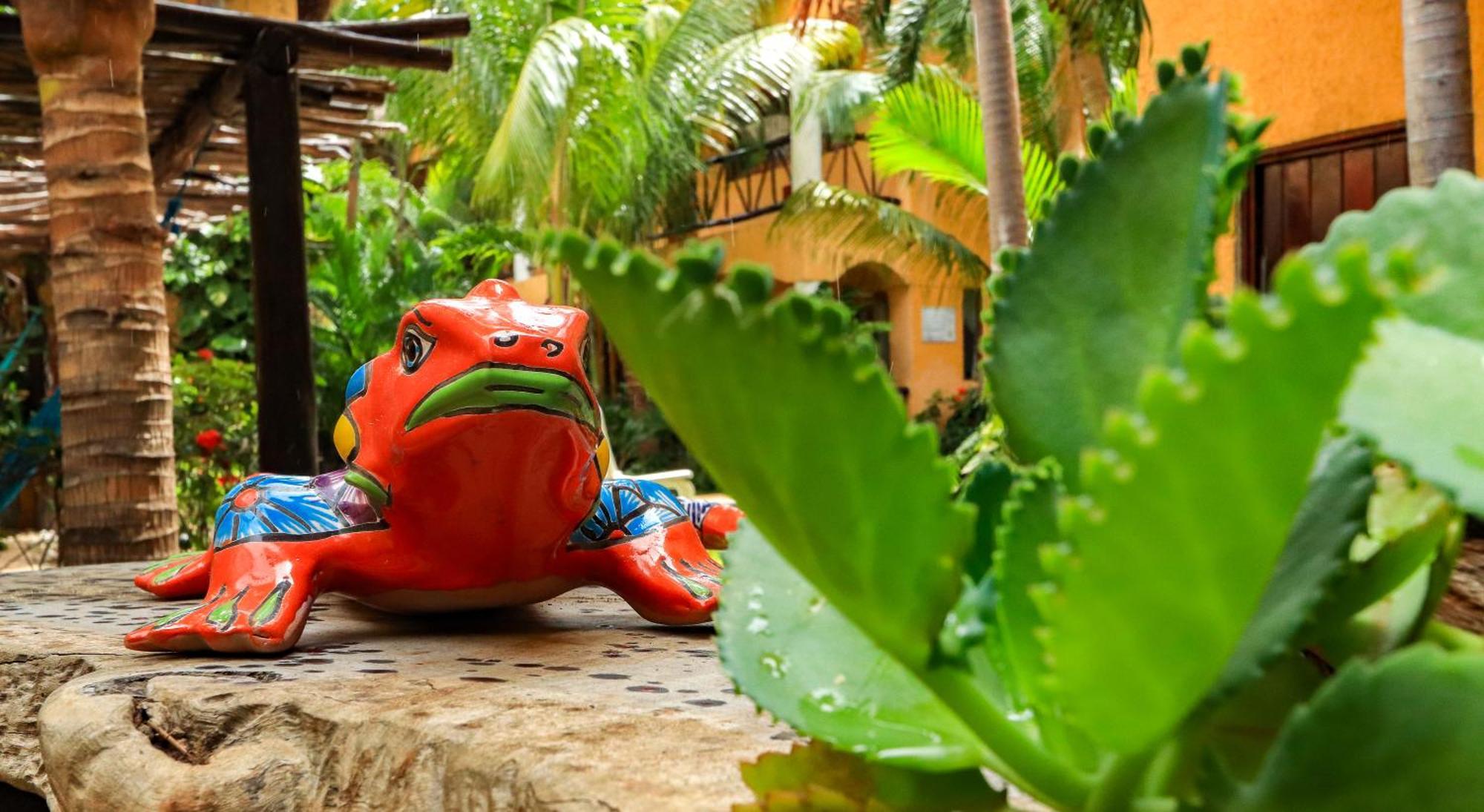 Hotel Bosque Caribe, 5Th Av. Zone Playa del Carmen Exteriér fotografie