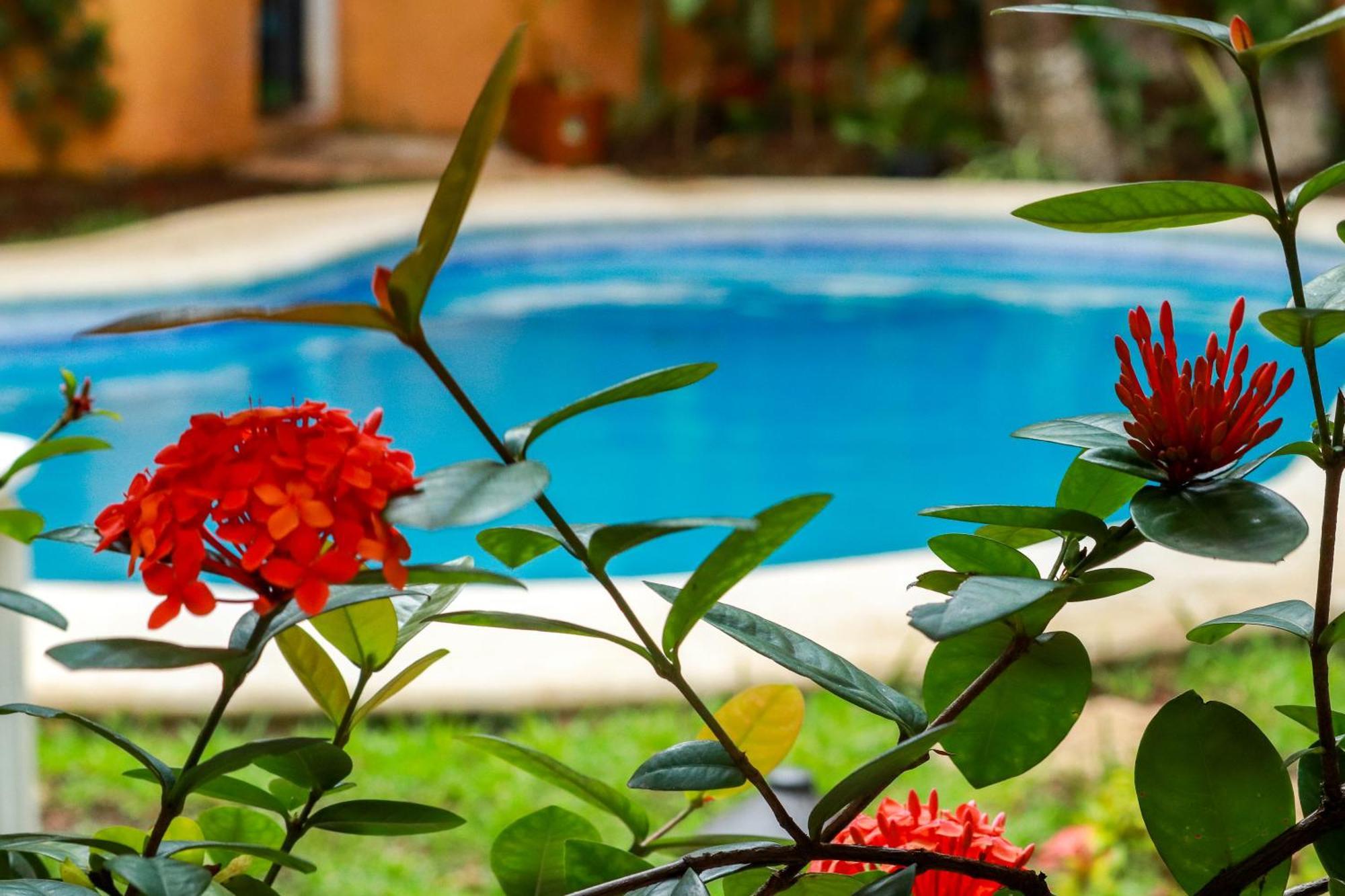 Hotel Bosque Caribe, 5Th Av. Zone Playa del Carmen Exteriér fotografie