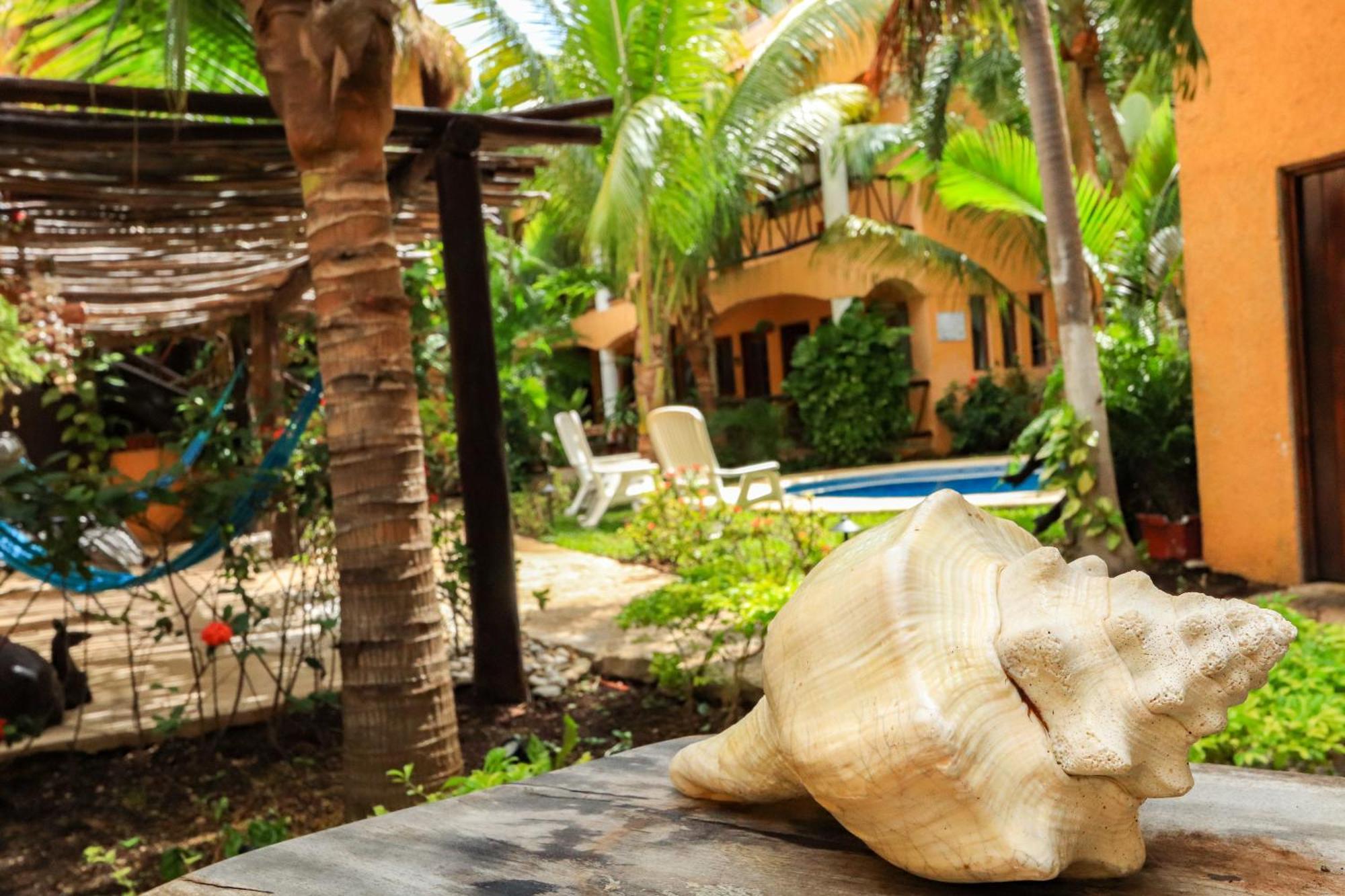 Hotel Bosque Caribe, 5Th Av. Zone Playa del Carmen Exteriér fotografie