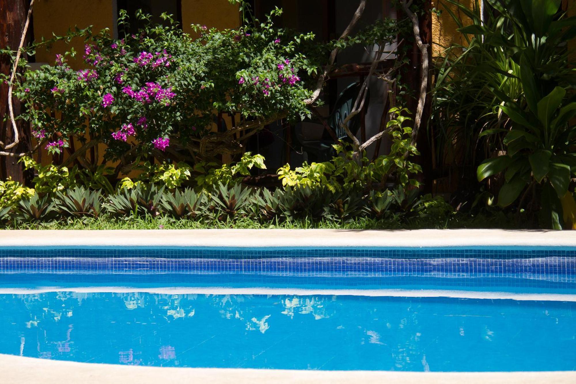 Hotel Bosque Caribe, 5Th Av. Zone Playa del Carmen Exteriér fotografie