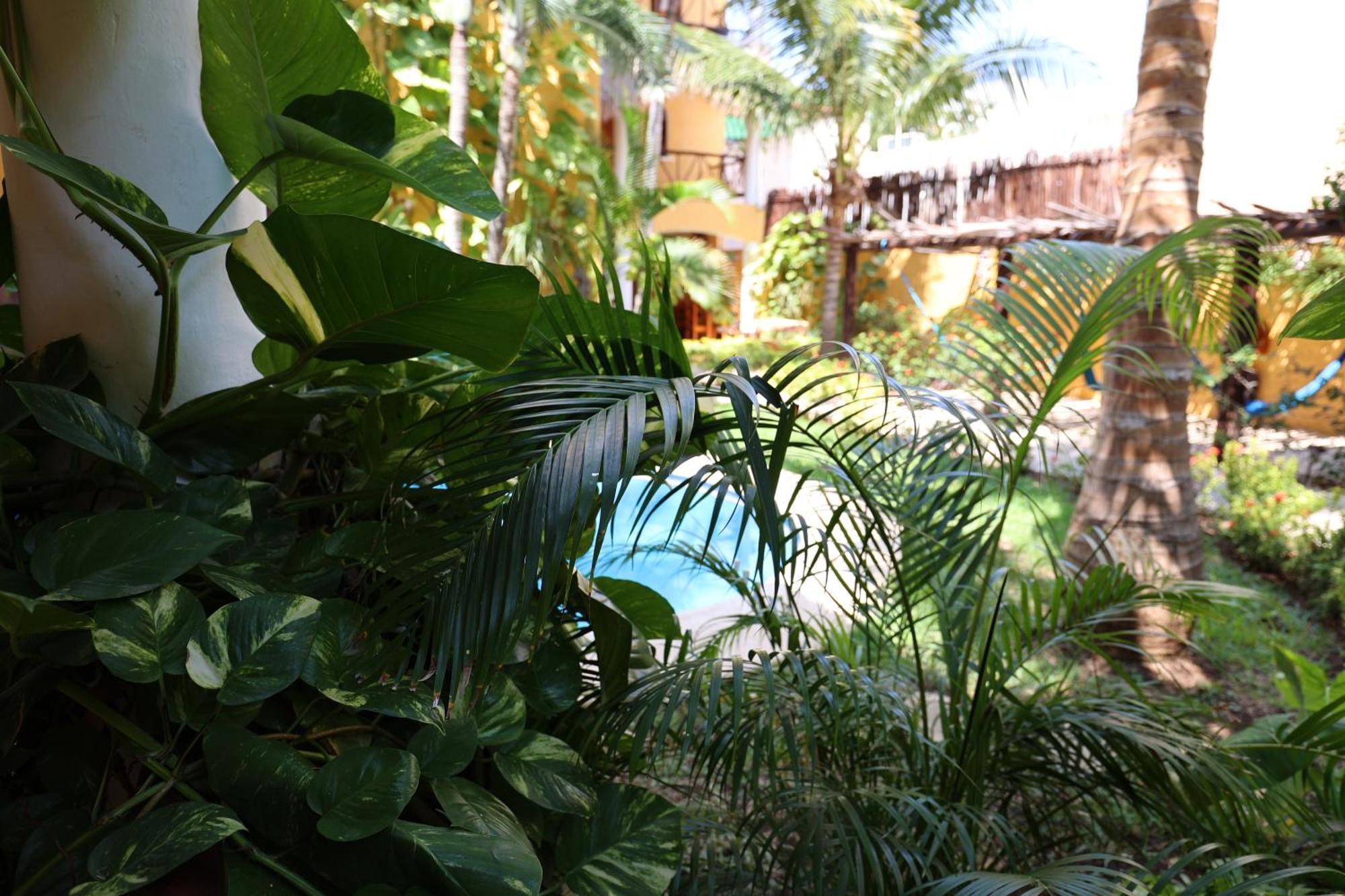 Hotel Bosque Caribe, 5Th Av. Zone Playa del Carmen Exteriér fotografie