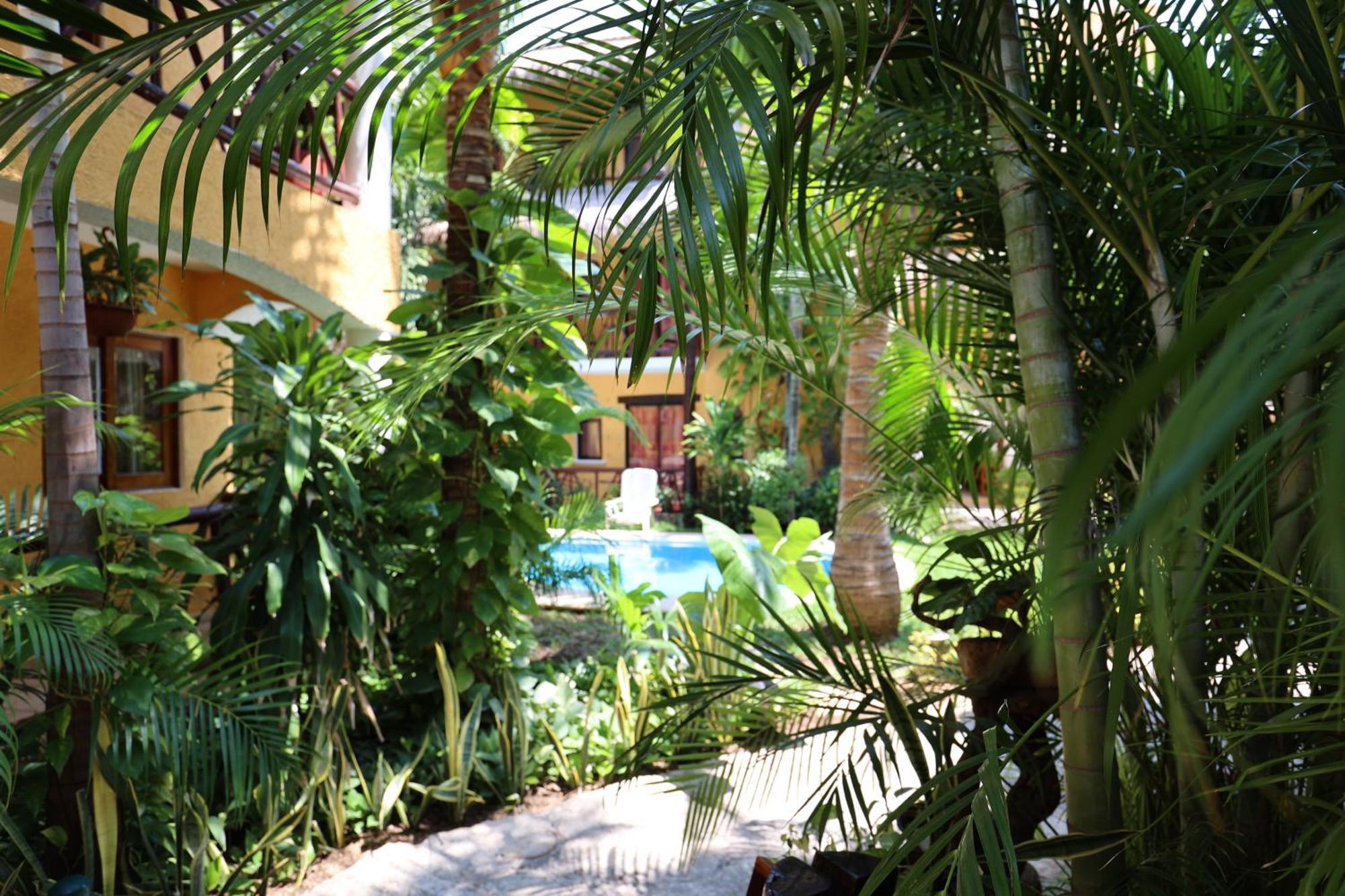 Hotel Bosque Caribe, 5Th Av. Zone Playa del Carmen Exteriér fotografie
