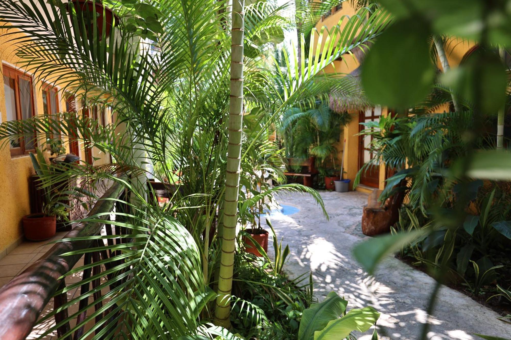Hotel Bosque Caribe, 5Th Av. Zone Playa del Carmen Exteriér fotografie