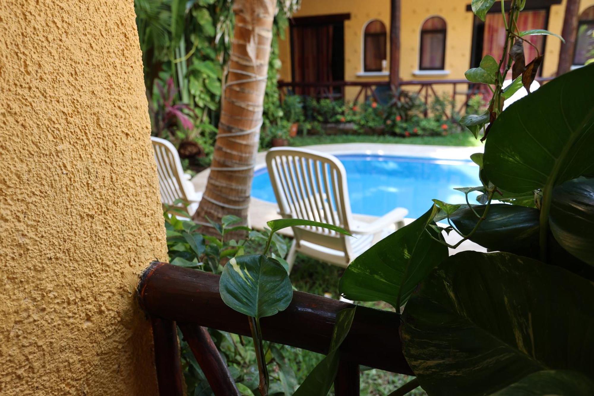 Hotel Bosque Caribe, 5Th Av. Zone Playa del Carmen Exteriér fotografie
