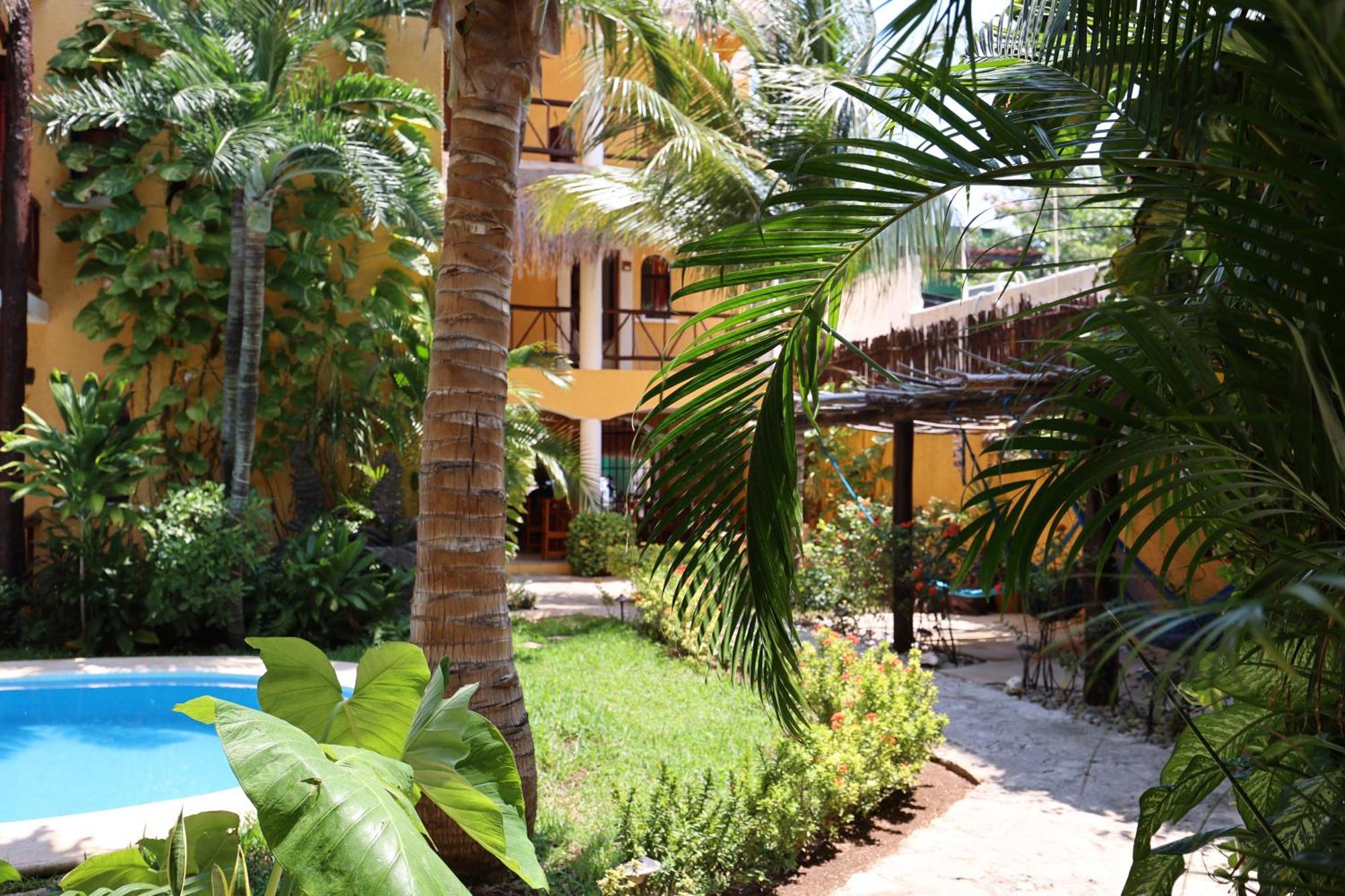 Hotel Bosque Caribe, 5Th Av. Zone Playa del Carmen Exteriér fotografie