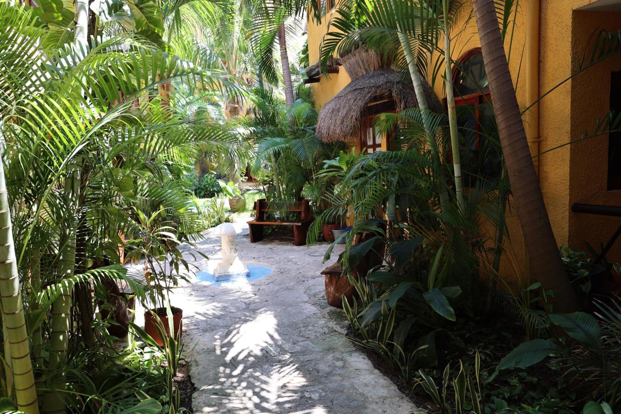 Hotel Bosque Caribe, 5Th Av. Zone Playa del Carmen Exteriér fotografie