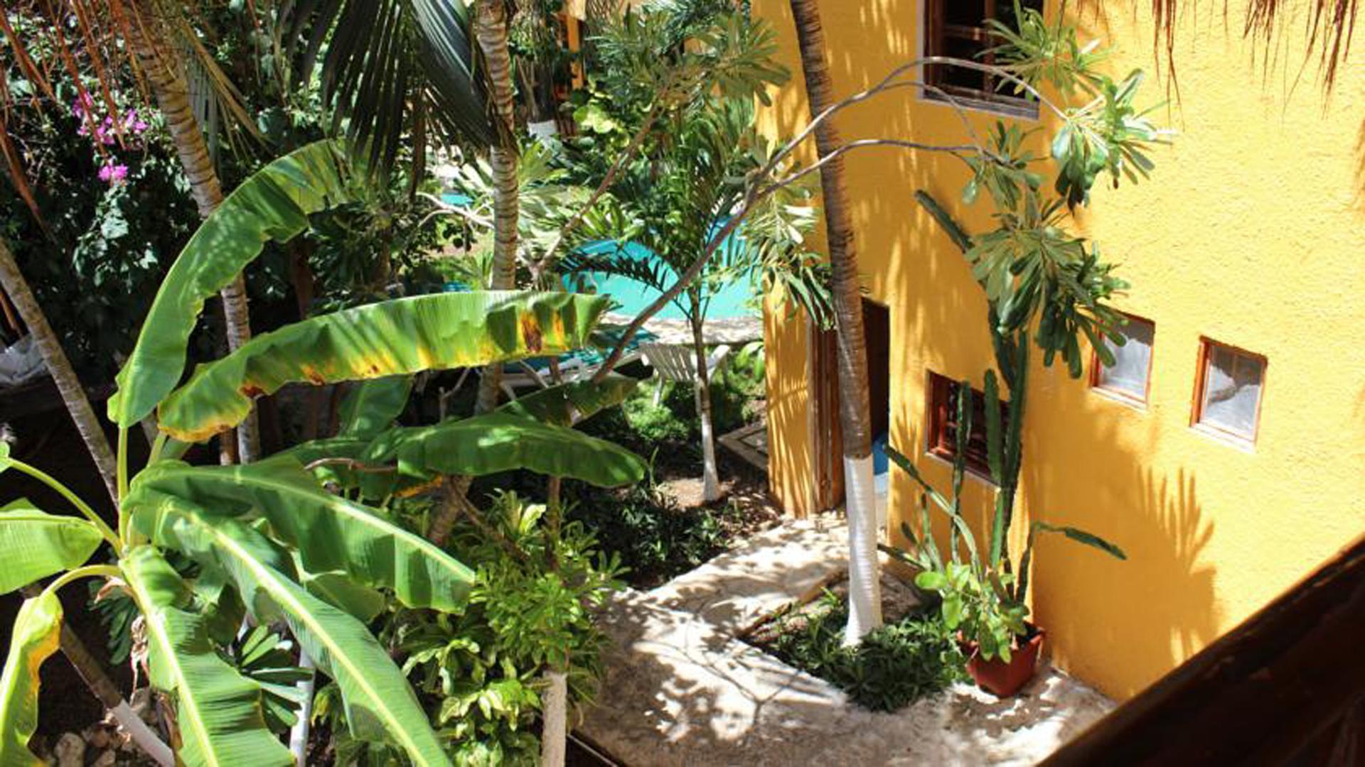 Hotel Bosque Caribe, 5Th Av. Zone Playa del Carmen Exteriér fotografie